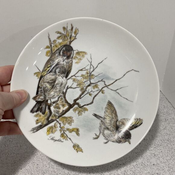 Vintage Kaiser W Germany Fine Porcelain Nature Bird Plate Stieglitre Goldfinch - Picture 4 of 7